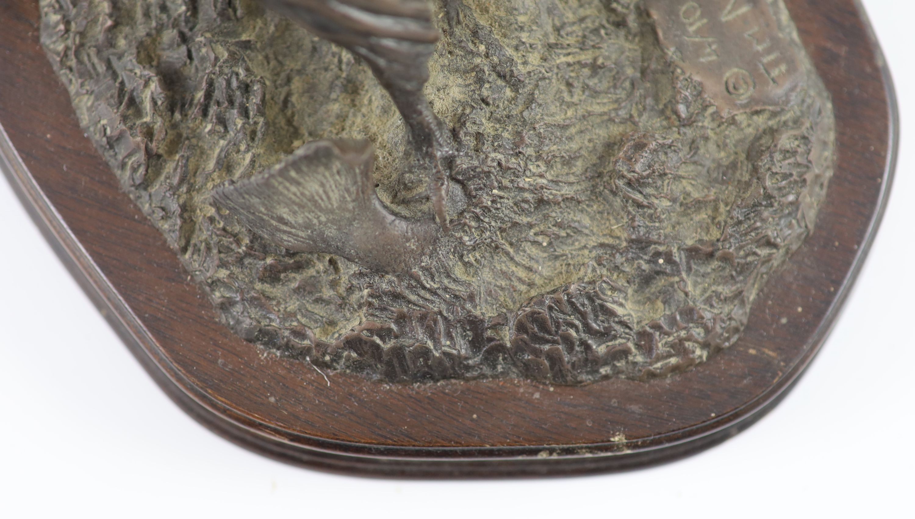 Tim Nicklin. A bronze model of an Osprey catching a salmon width 33cm height 25cm